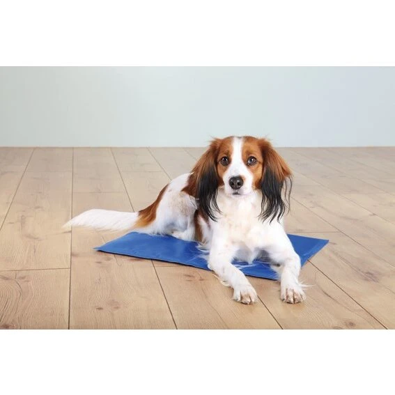 Trixie Kølemåtte til hunde 40×30 cm, blå
