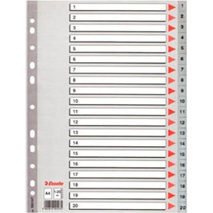 Esselte Register 1-20 A4 Grå