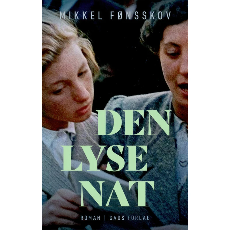 Den lyse nat – historisk roman