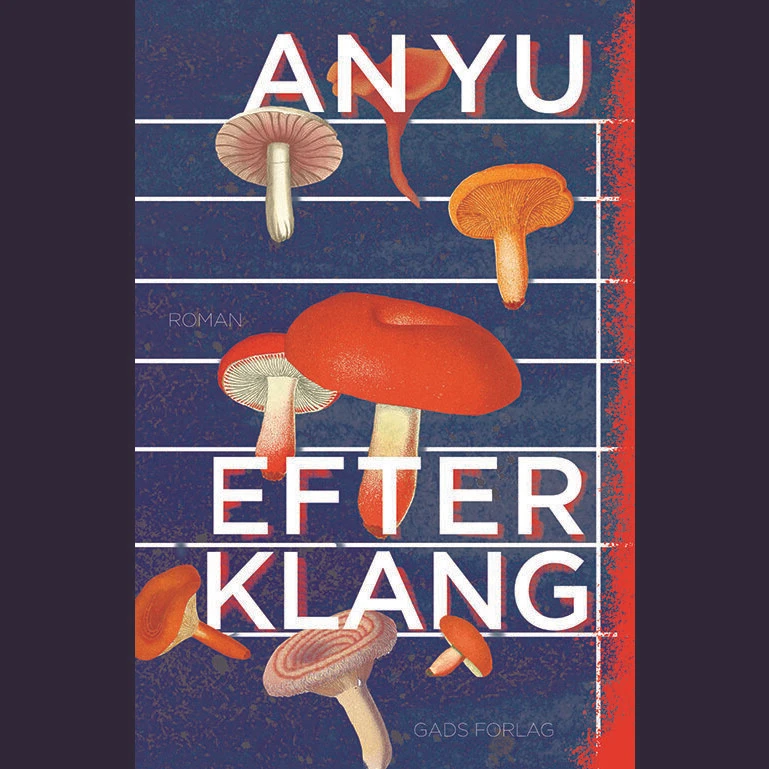 Efterklang – moderne kinesisk roman