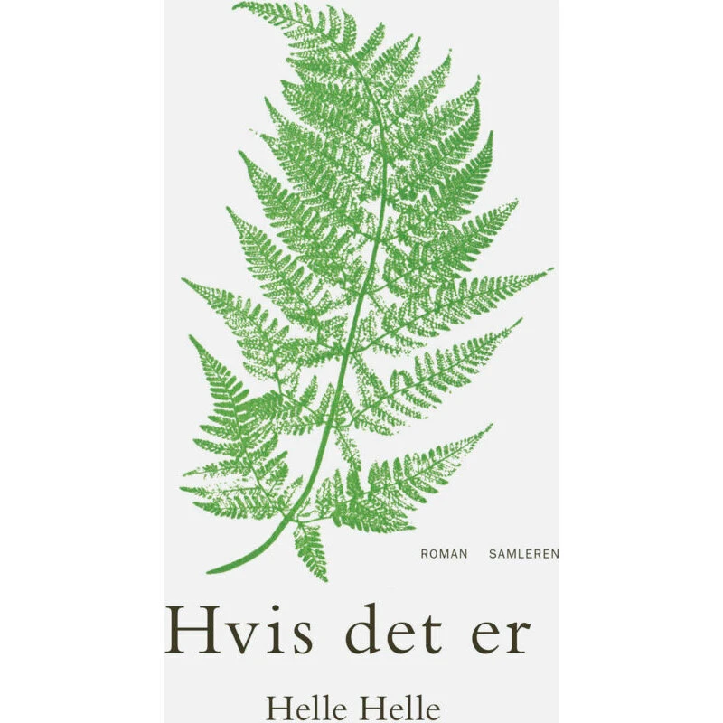 Hvis det er (roman)