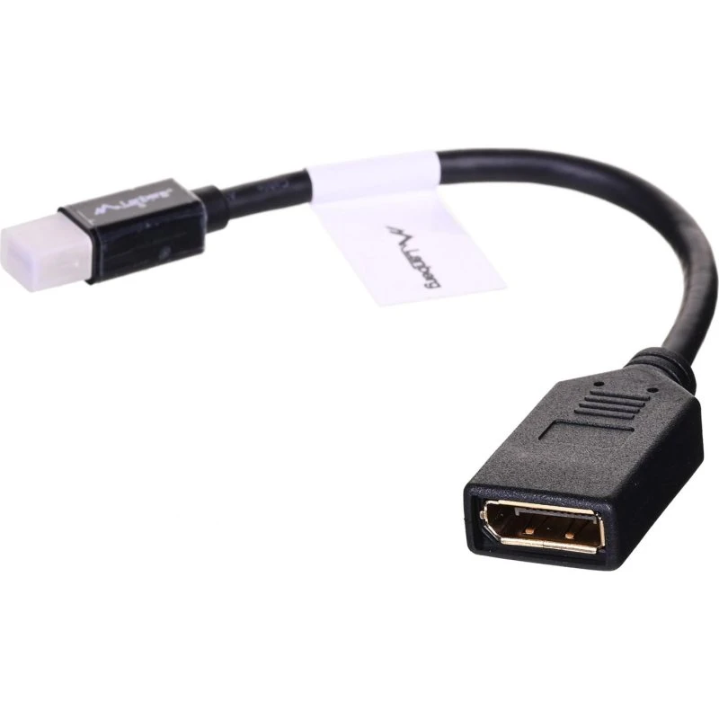 Lanberg Mini DisplayPort til DisplayPort 12 cm, sort