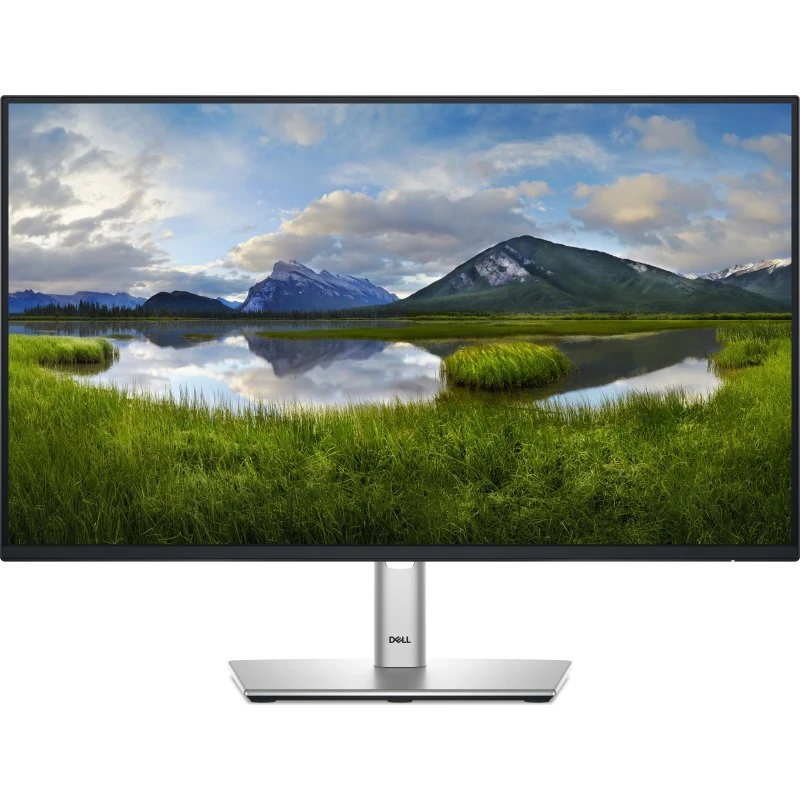 Dell P2425HE 24" IPS FHD 100Hz USB-C