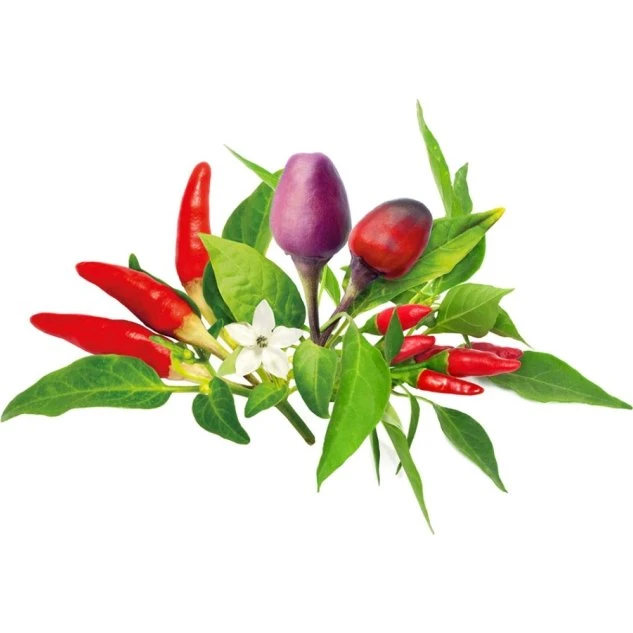 Click & Grow Smart Garden Refill 9-pak Chilipeberblanding