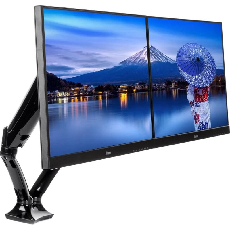 iiyama DS3002C-B1 Dual Gasfjeder Skærmarm, Sort, 10"-27"