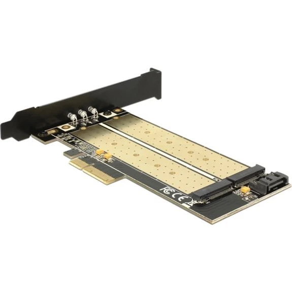 DeLock M.2 til PCIe x4 Adapter (2x M.2 NVMe)