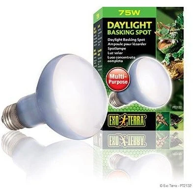 Exoterra Dagslys Basking Spot 75W R20 E27 Grøn