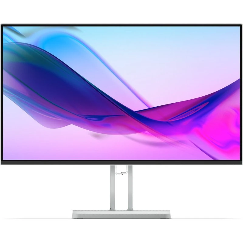Lenovo L24i-4A 24" IPS Skærm, 100Hz, Grå