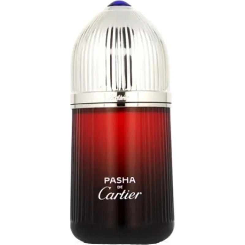 Cartier Pasha Edition Noire Sport EDT 100 ml