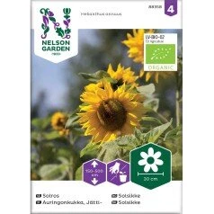 Økologiske solsikkefrø