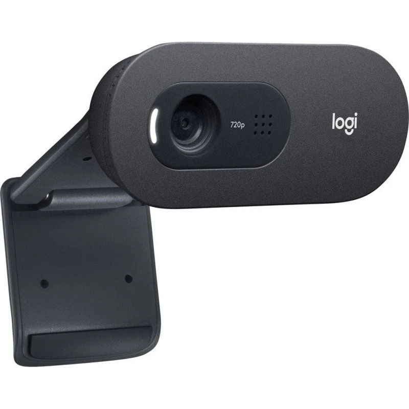 Logitech C505e HD Webcam, 720p, grafit