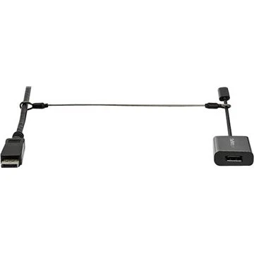 StarTech.com 10-Pack Security Cable Tethers, Sølv, 30 cm, TAA-kompatibel