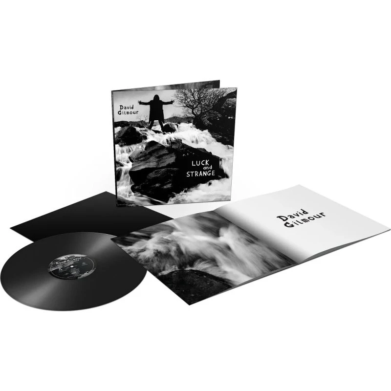 David Gilmour - Luck And Strange - Vinyl Lp