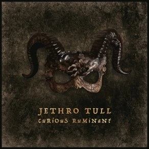 Jethro Tull - Curious Ruminant (CD)