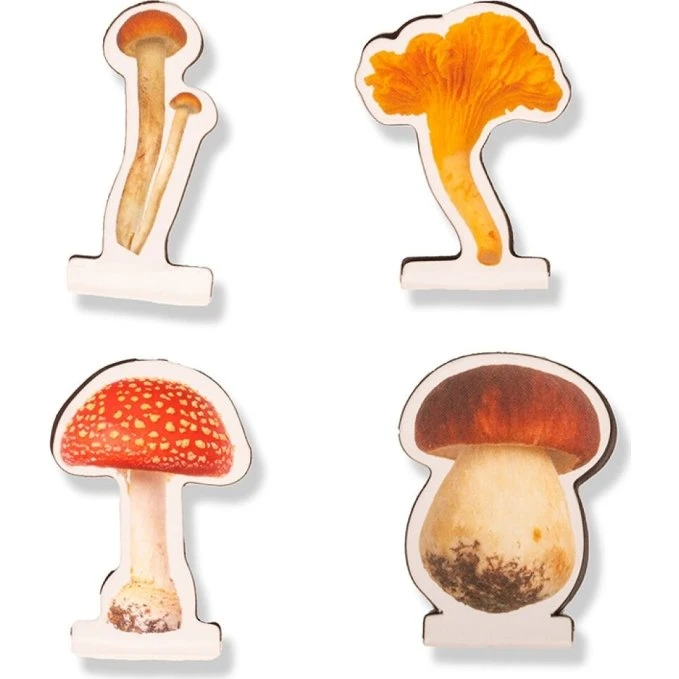 Kikkerland Mushroom Magnetiske Bogmærker, 4 stk