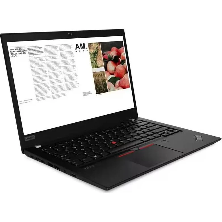 Lenovo ThinkPad T14 G1 i5-10210U 16GB 256GB Grå
