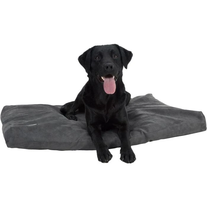 BUSTER Memory Foam Hundeseng 100 x 120 cm - Grå