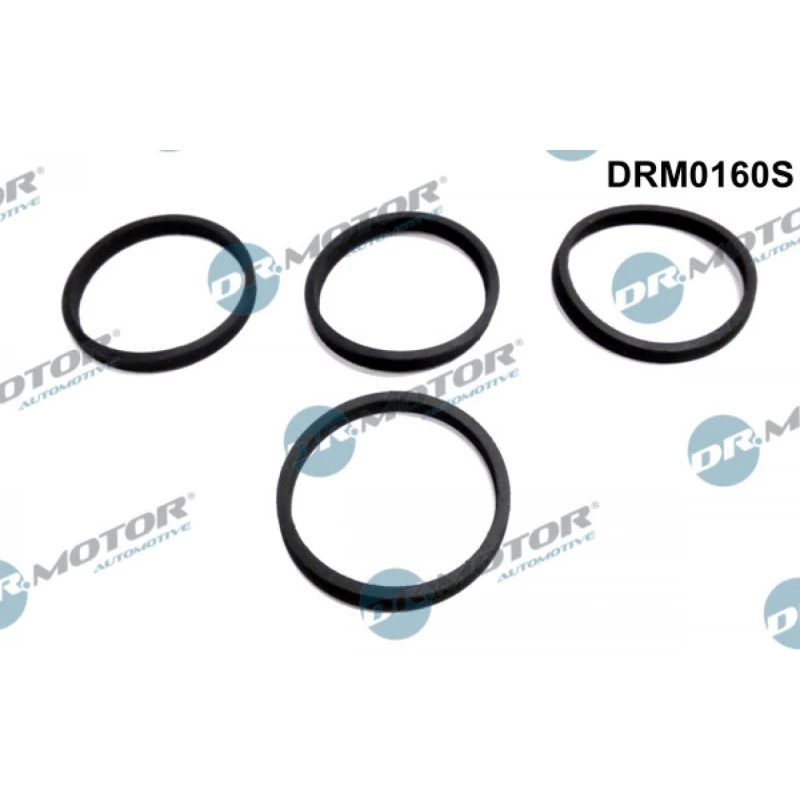 Dr.Motor Automotive DRM0160S Pakningssæt, indsugningsmanifold