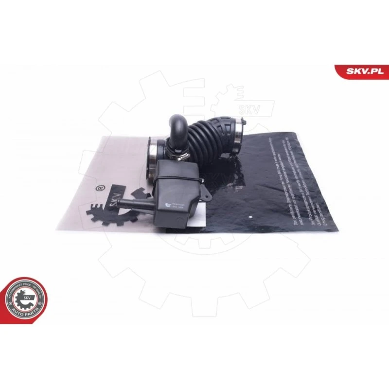 ESEN SKV 54SKV185 Indsugningsslange til Nissan Qashqai