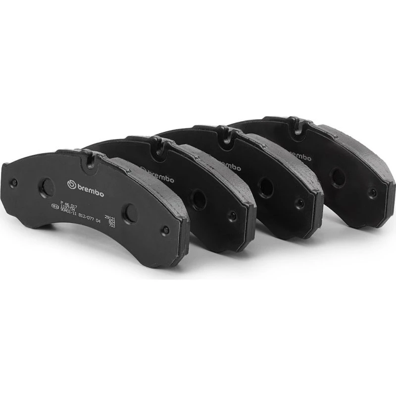 Brembo Bremseklodser P A6 017, foraksel/bagaksel, 165x20x66 mm