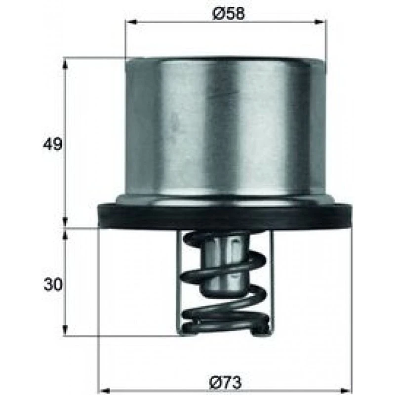 MAHLE Termostat THD 1 79, 79°C, til BMW 3, 5, 6-serie