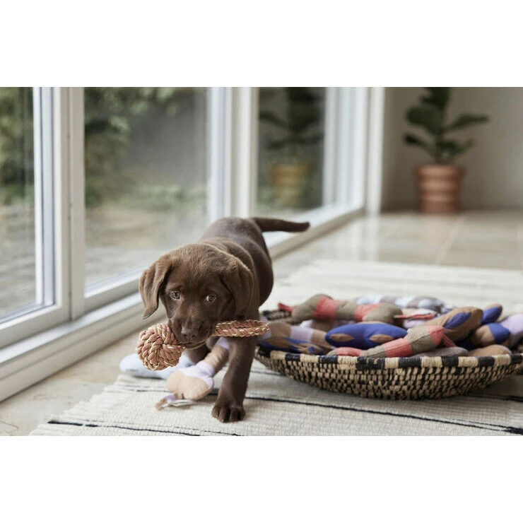 OYOY Zoo Ashi hundelegetøj Large 28 cm – kirsebærrød/taupe