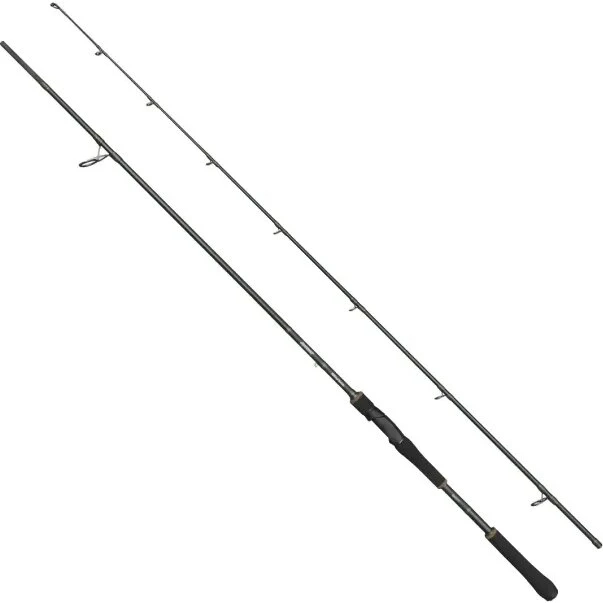 Abu Garcia Beast X2 Spinning 8'3 – 30-110 g