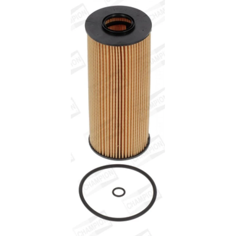 CHAMPION Oliefilter COF100505E til VW, AUDI, FORD