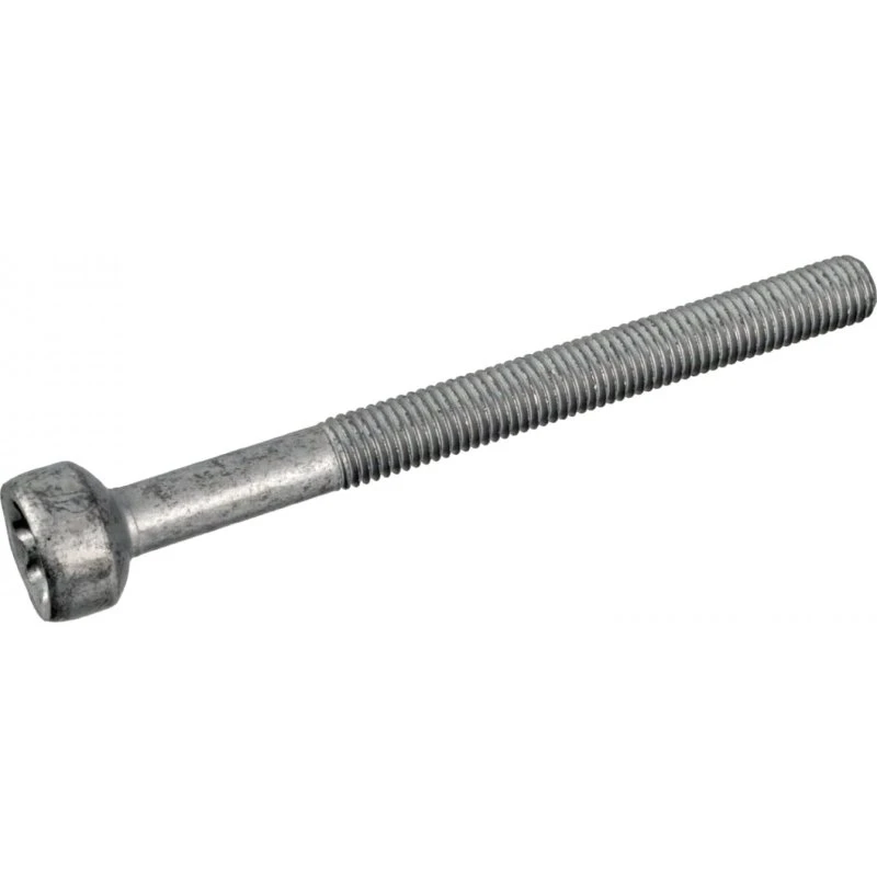 FEBI BILSTEIN 172930 Skrue, indsprøjtningsdyseholder for MERCEDES-BENZ