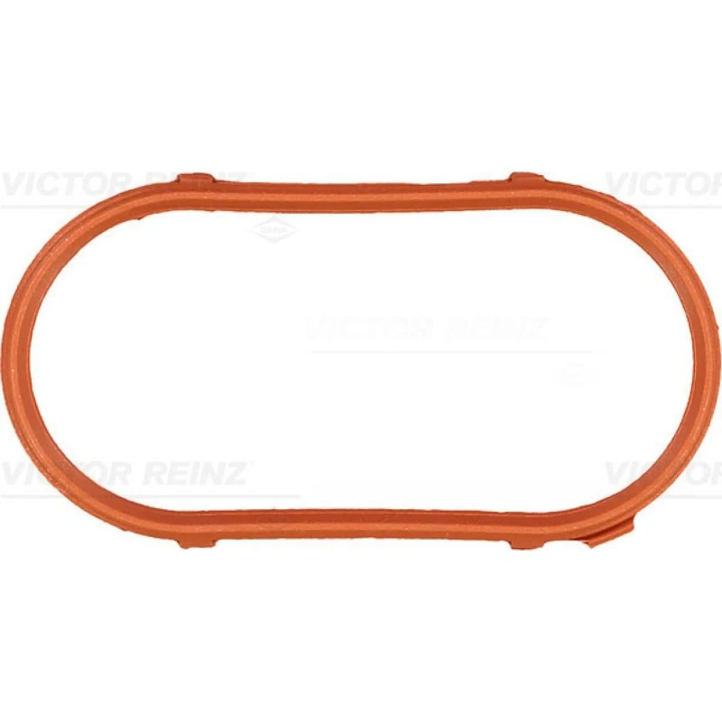 REINZ Pakning, indsugningsmanifold 71-28917-00 til BMW 3, 5