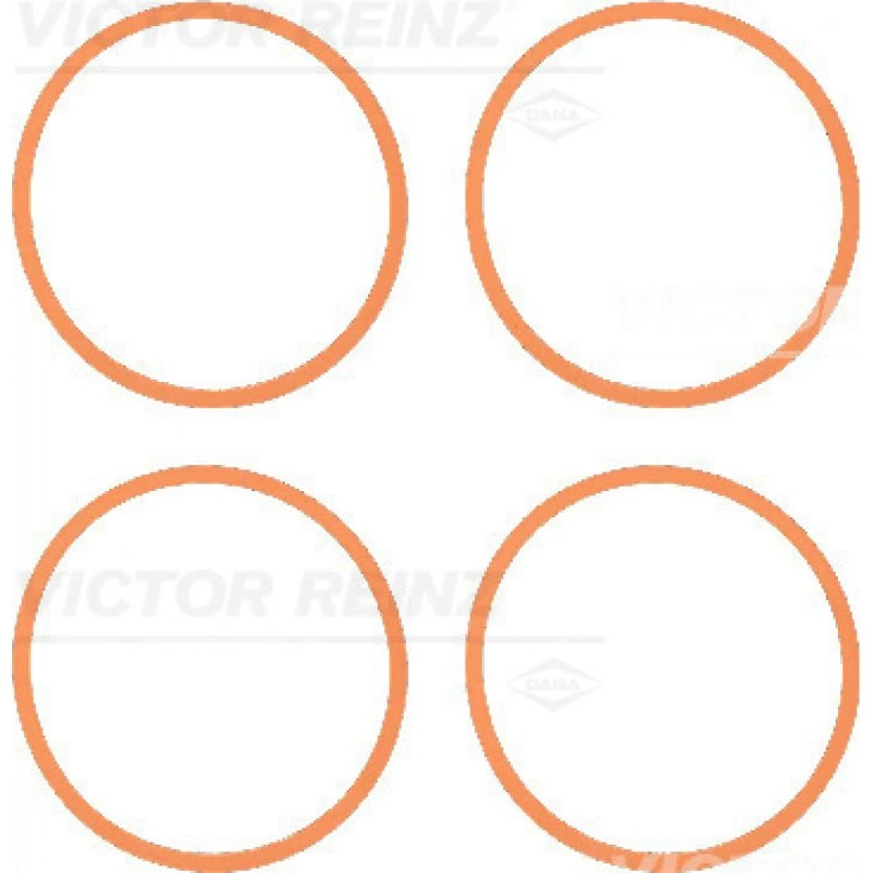 REINZ Pakningssæt 11-37616-01, brun, til BMW, OPEL, PEUGEOT