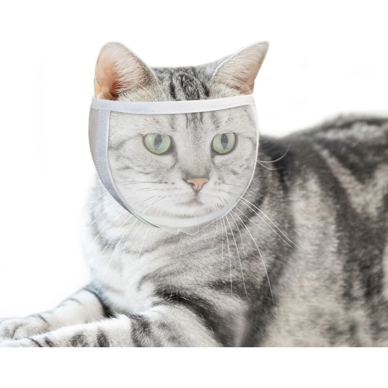 INF Kattekurv til trimning og behandling Hvid M