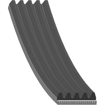 FEBI BILSTEIN Kilerem 28862, 5PK1200, 1200 mm, EPDM