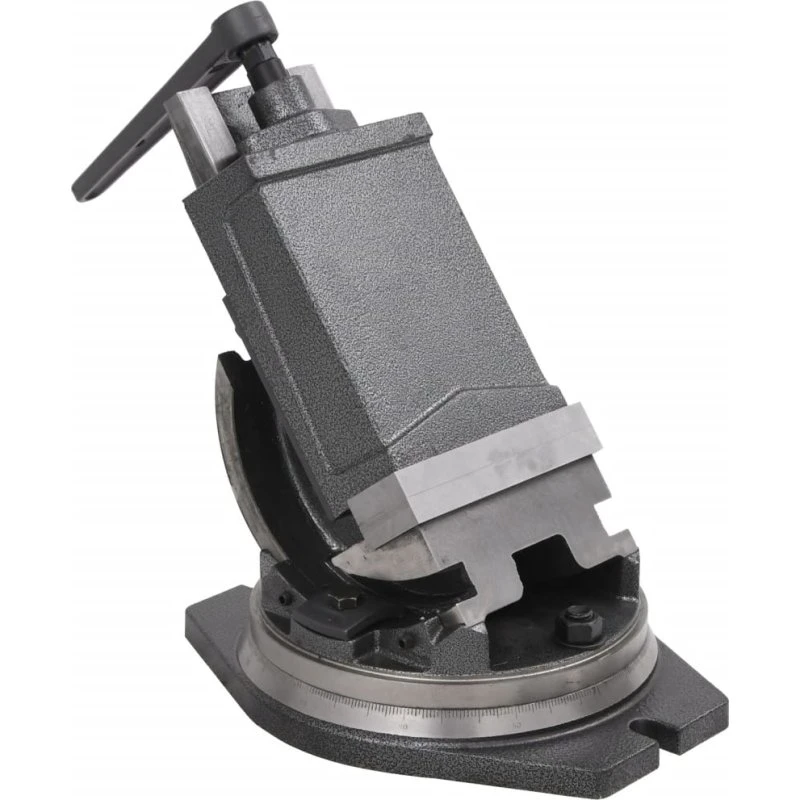 vidaXL 2-akset skruestik 160 mm med vippefunktion