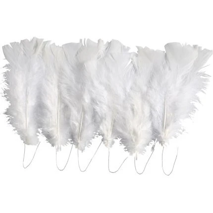 Dun Hvid, L 11-17 cm, 18 Bundt