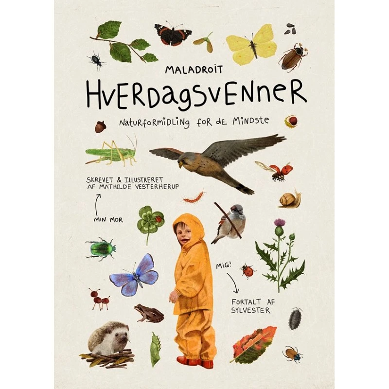 Hverdagsvenner: Sylvester - En bog om naturen i Danmark