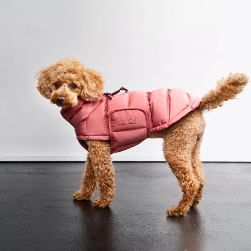 Cloud7 Alaska ekstra varm vinterjakke til hunde (faded rose)