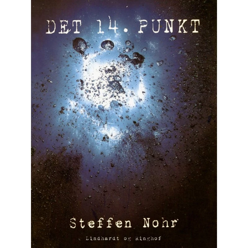 Det 14. Punkt - Steffen Nohr