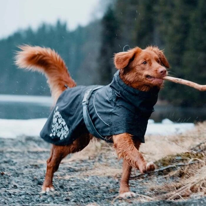 Hurtta Monsoon Regndækken Blackberry 20 cm