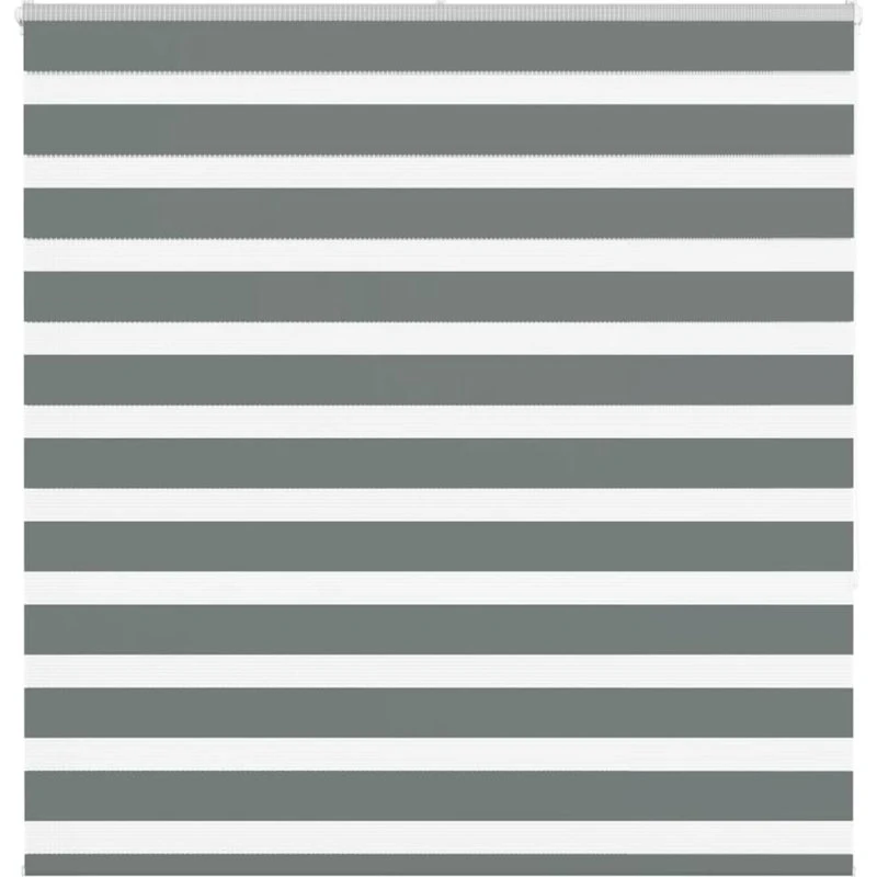 vidaXL Zebragardin Mørkegrå 145x150 cm