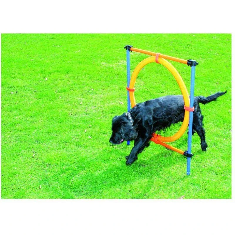 Pawise Agility Ring til hund Ø 55 cm