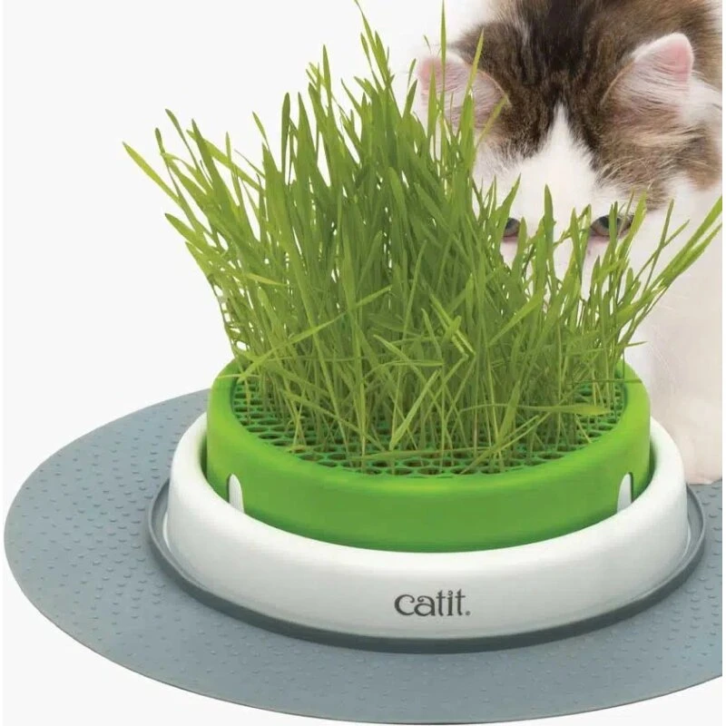 Catit Senses Kattegræs med frø og vermiculit