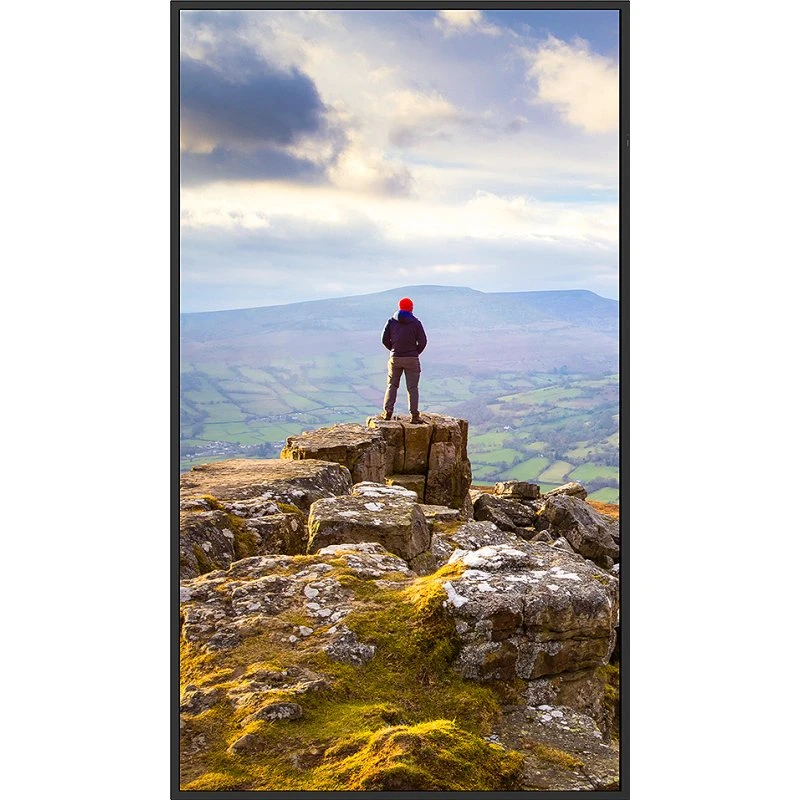 Sharp PN-E439 43" 4K Ultra HD LCD-skærm, sort