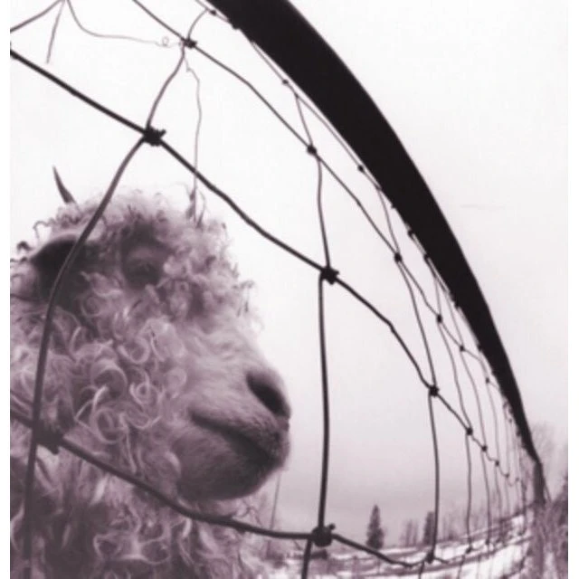 Pearl Jam - Vs. (Remastered) Vinyl LP