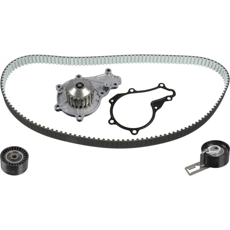 FEBI BILSTEIN Vandpumpe + Tandremssæt 173201 til FORD, PEUGEOT, CITROËN