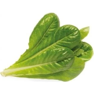 Click & Grow Smart Garden Refill 3-pak Romainesalat (SGR50X3)