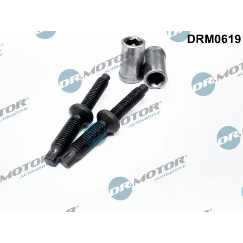 Dr.Motor DRM0619 Pakningssæt, indsprøjtningsdyse for FORD, PEUGEOT, CITROËN