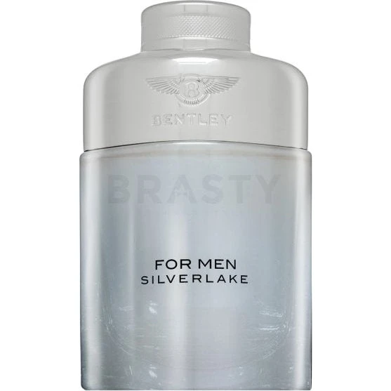 Bentley Silverlake EDP M 100 ml