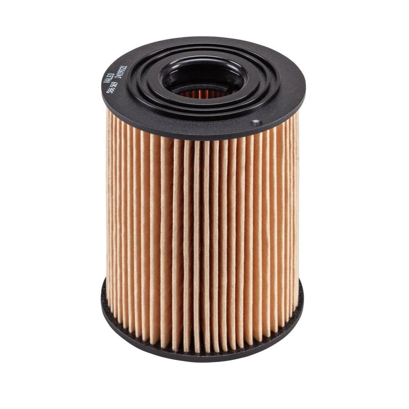 VALEO Oliefilter 586569 til OPEL, CHEVROLET, VAUXHALL