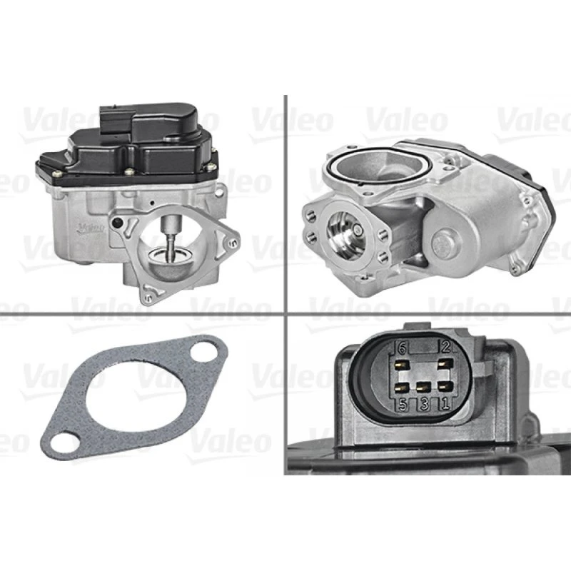 VALEO EGR-Ventil 700424 til VW, AUDI, SKODA